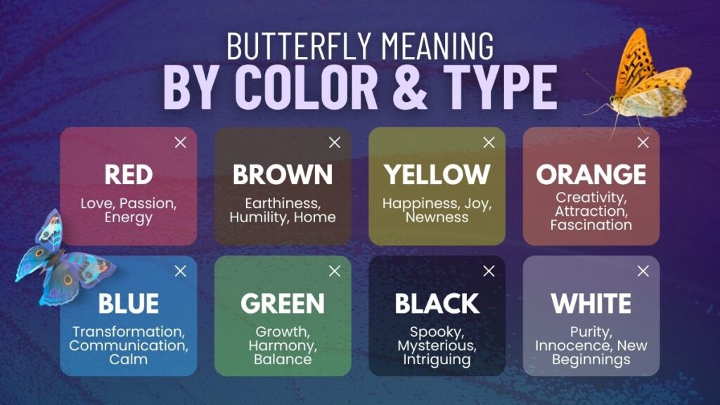 Butterfly Spiritual Meaning