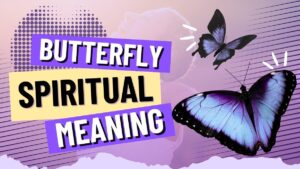 Butterfly Spiritual Meaning