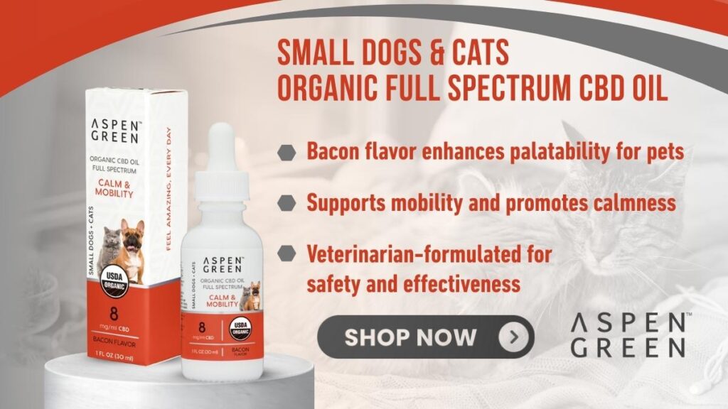CBD Oil for Cats