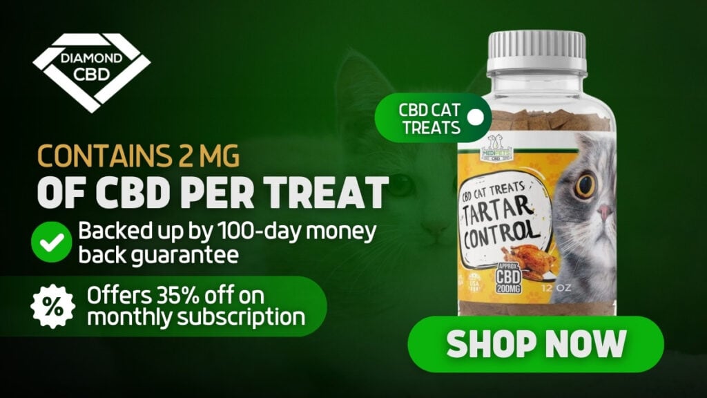 Best CBD Cat Treats