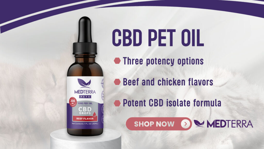 CBD Oil for Cats