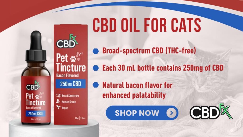 CBD Oil for Cats