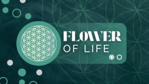 Flower of Life