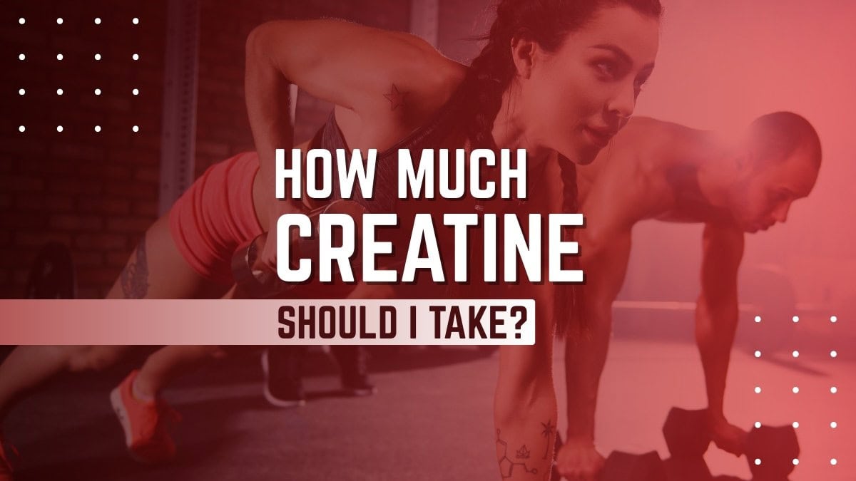 How Much Creatine Should I Take Daily To Build Muscle?