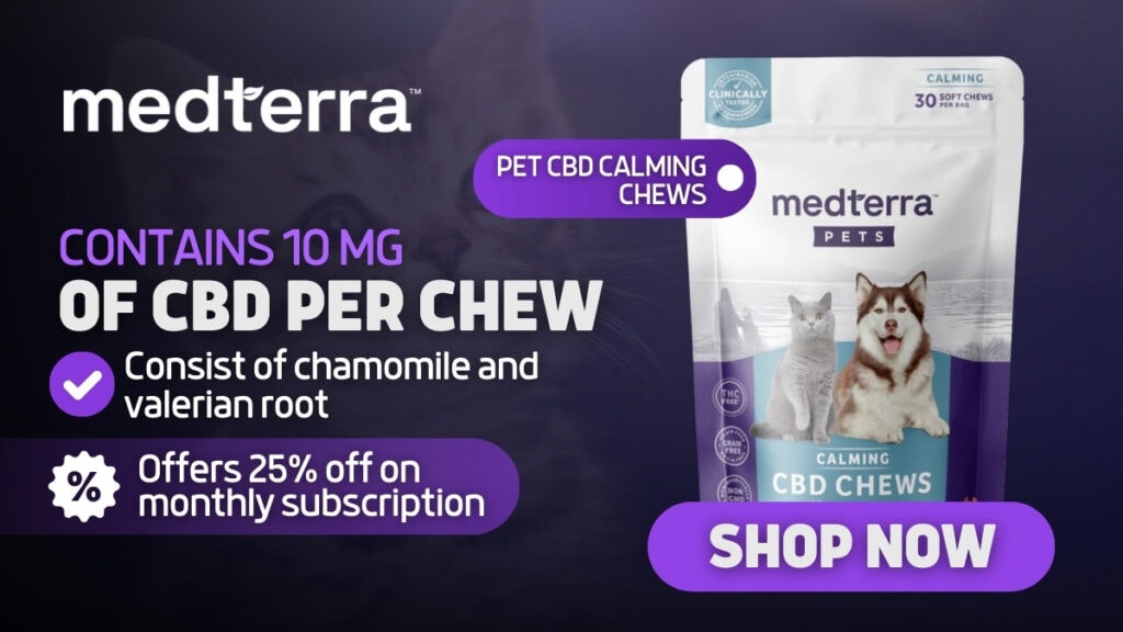 Best CBD Cat Treats