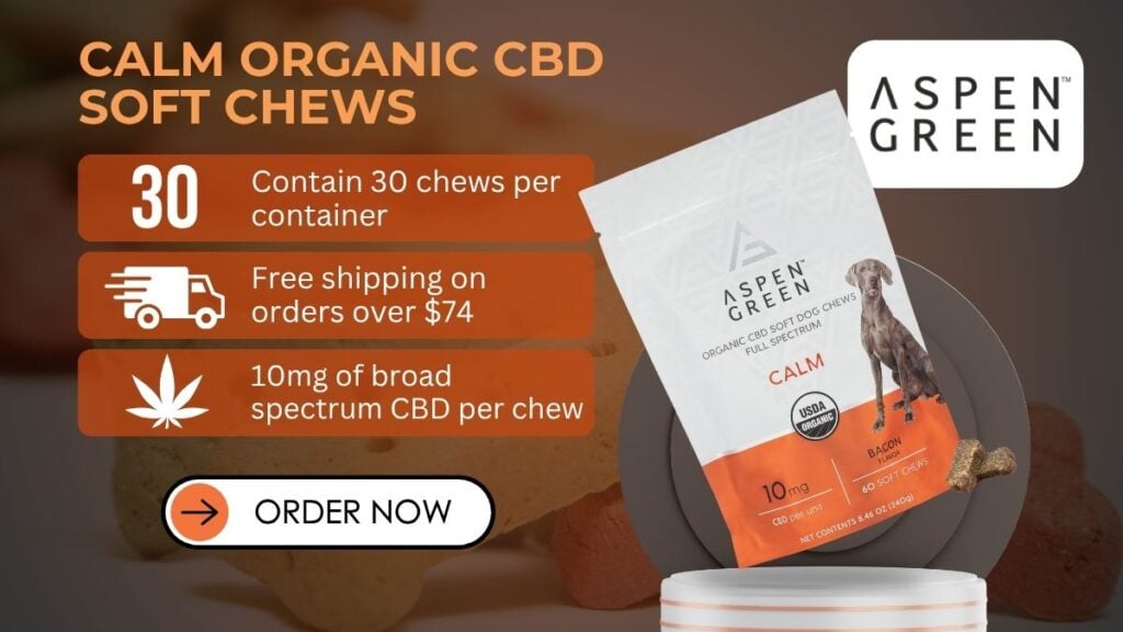 Best CBD for Dogs