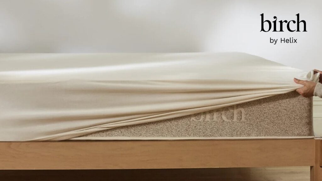 Best Mattress Protector
