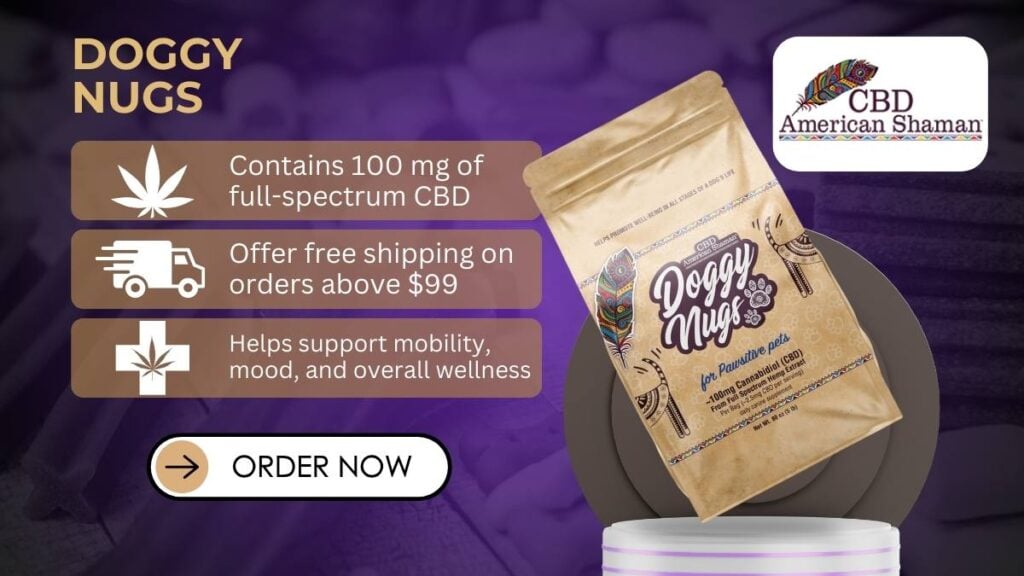Best CBD for Dogs