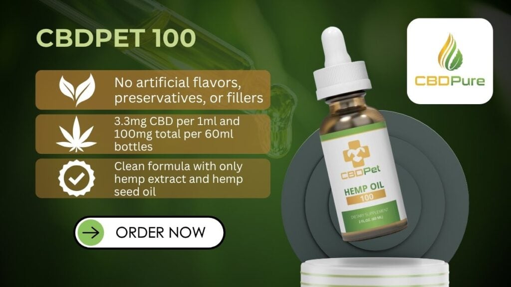 Best CBD for Dogs