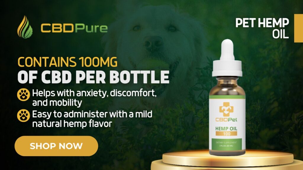 Best CBD for Dog Anxiety