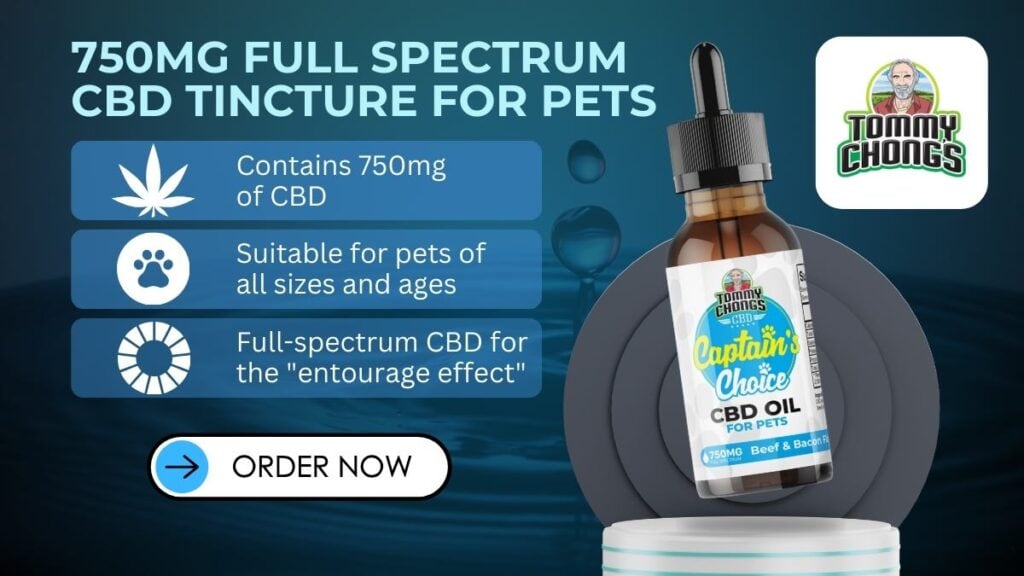 Best CBD for Dogs