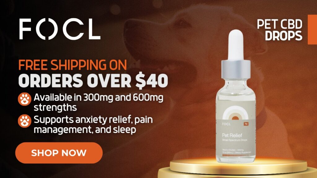 Best CBD for Dog Anxiety