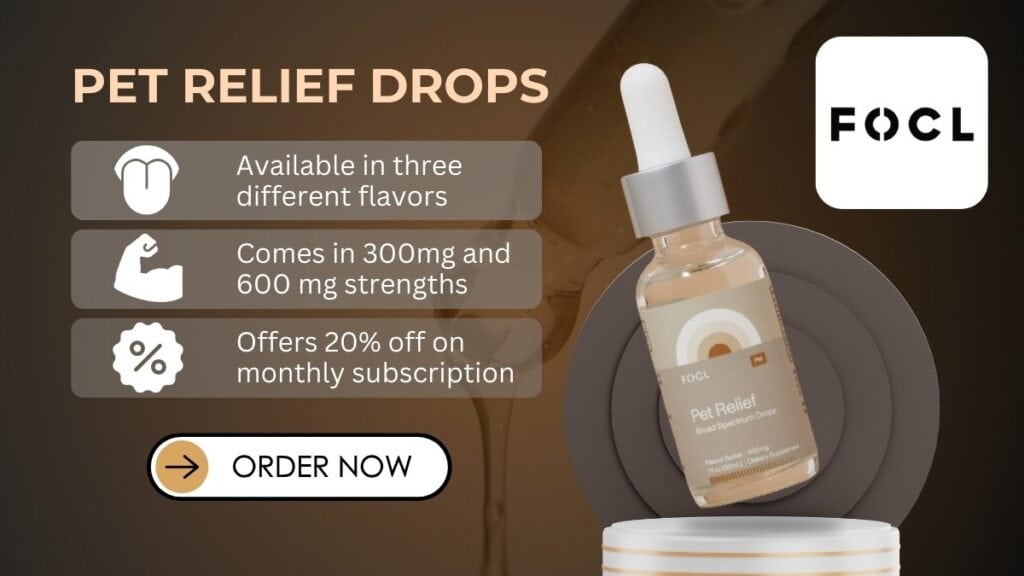 Best CBD for Dogs