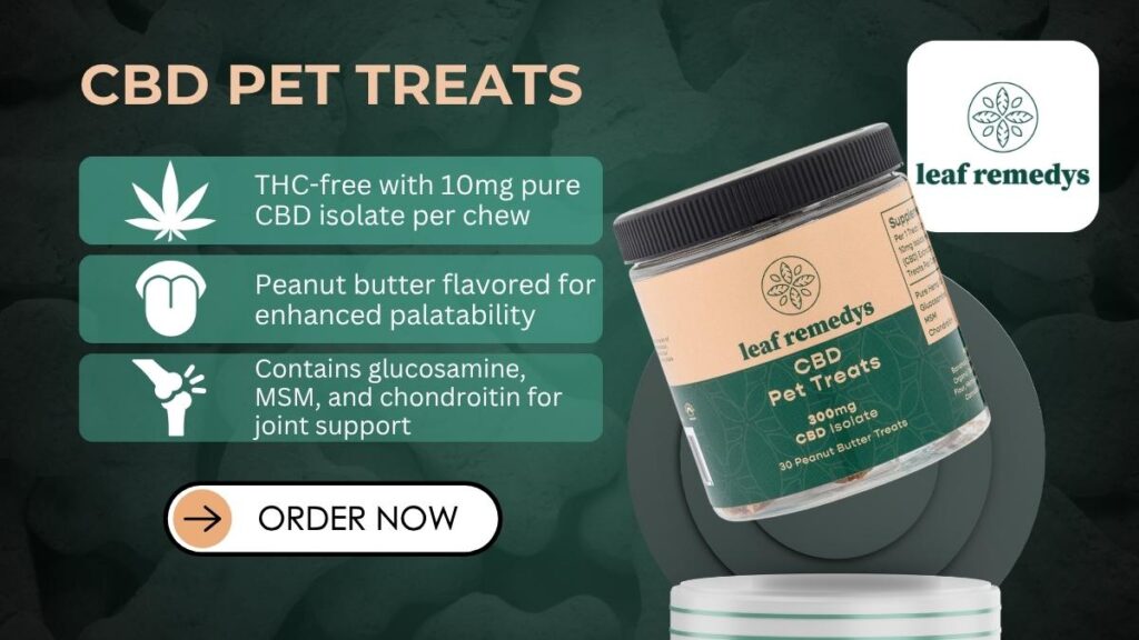 Best CBD for Dogs