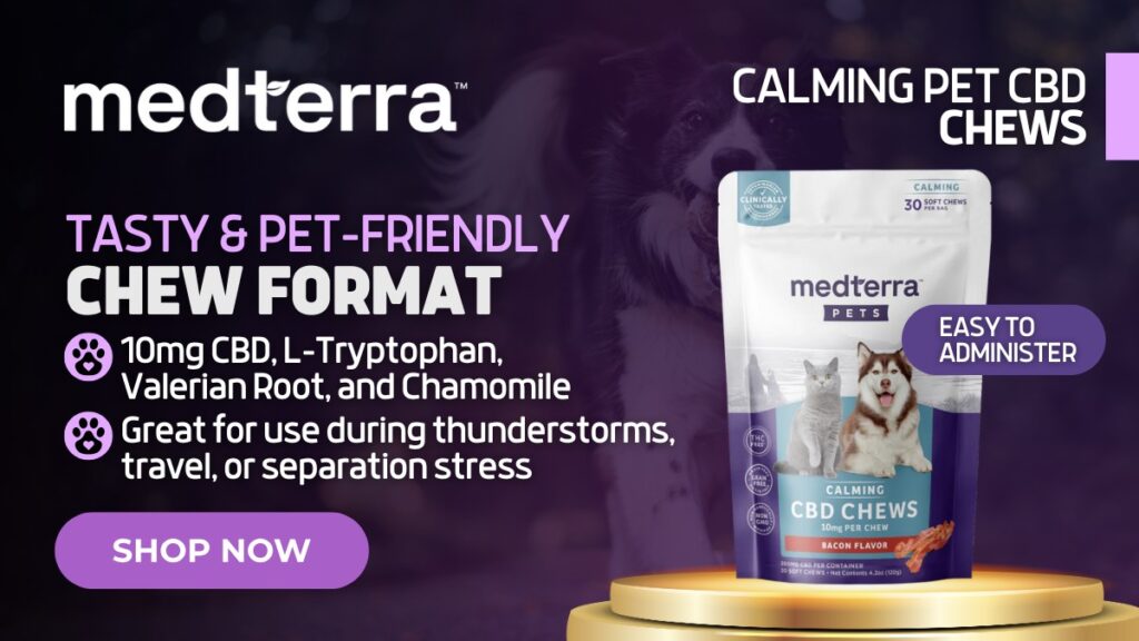 Best CBD for Dog Anxiety