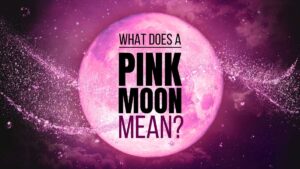 What Does a Pink Moon Mean