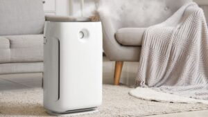 What Does an Air Purifier Do