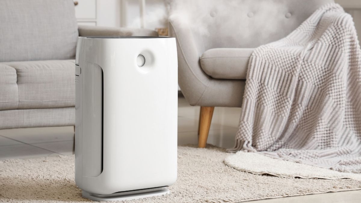 What Does an Air Purifier Do? A Complete Guide To How It Works