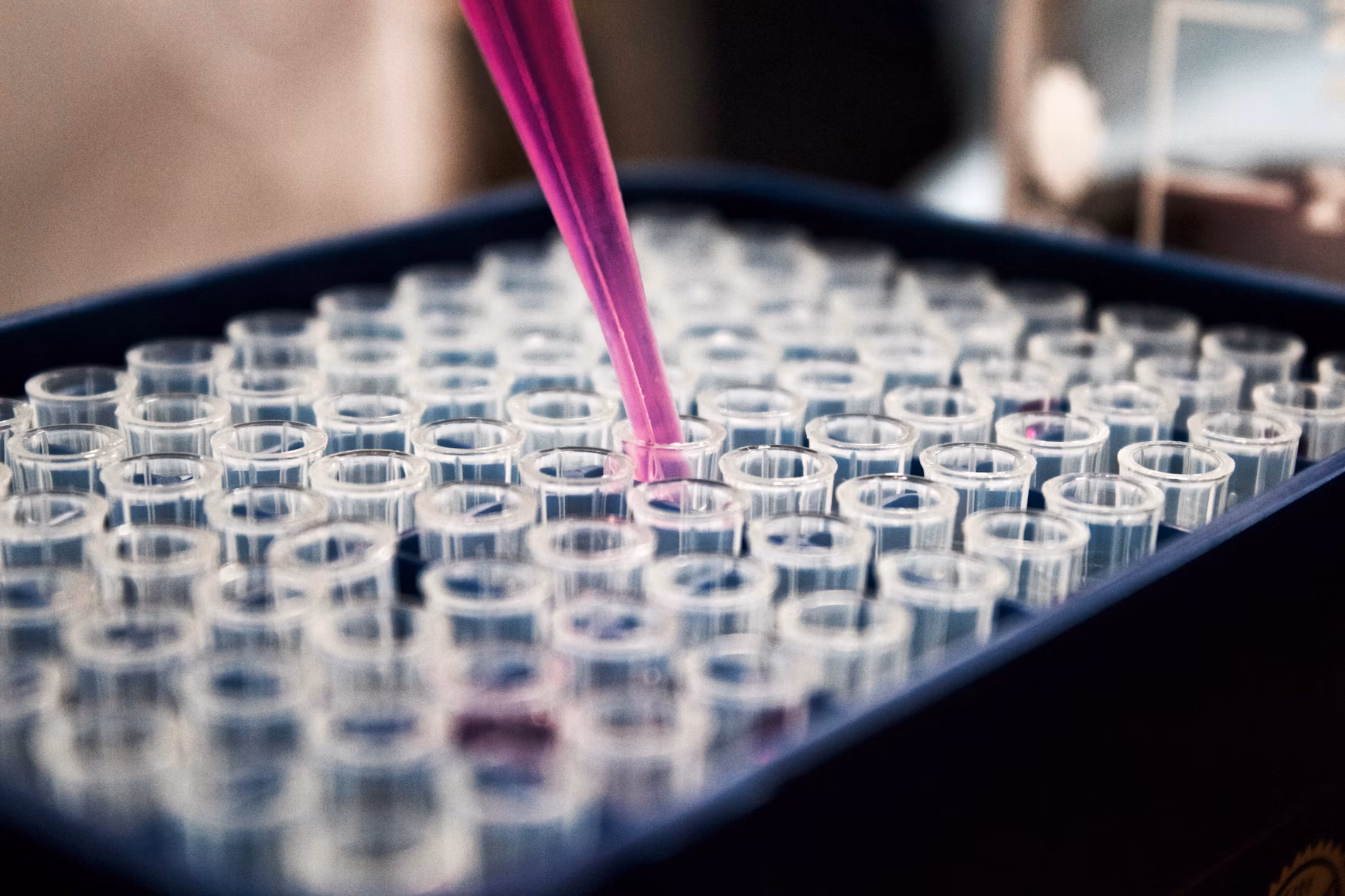 New Research Points to Natural Ozempic Alternative